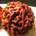 你的金刚菩提为什么玩不出牛筋红,你的金刚菩提为啥越盘越黑