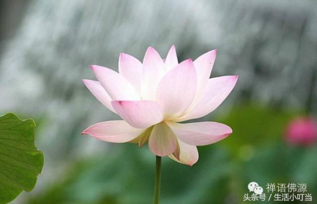 璇█蹇靛姏,浣涘鍙ｄ笟