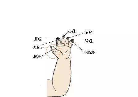 宝宝脾虚消化不良积食的推拿视频,婴儿消化不良拉奶瓣怎么调理推拿