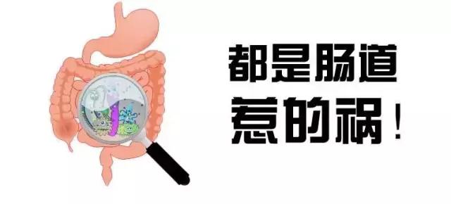 5种春季疾病的预防方法,警惕夏季5大高发病