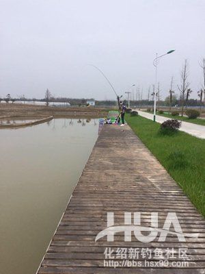 最新黑坑鱼竿测评,黑坑测试鲫鱼3.6米鱼竿推荐