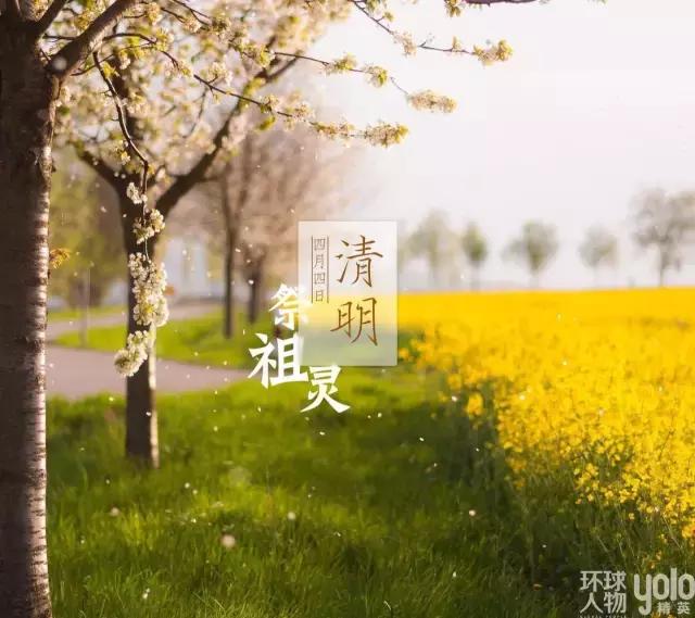 气清景明万物生长意思,清明节风和日丽万物萌生