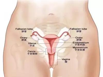 女生初潮是什么感觉,女孩初潮意味什么