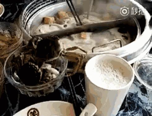 我想红舞蹈舞台版,我想红