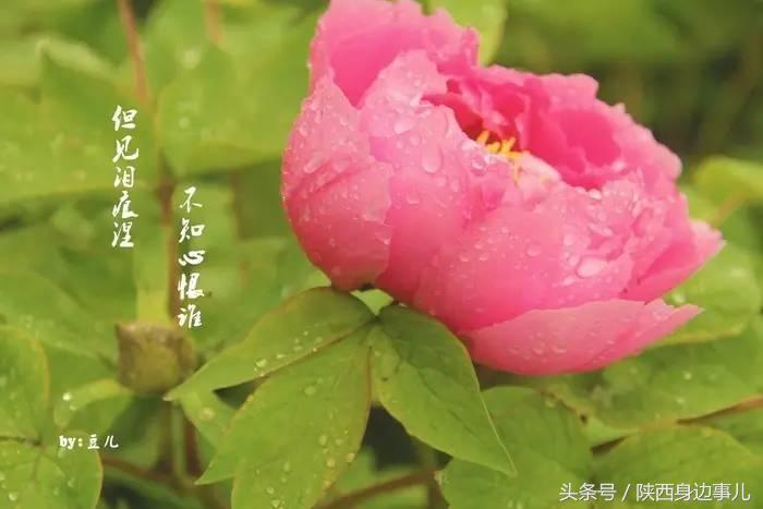 清明西安周边自驾一日游最佳地方,清明节西安周边游2-3天短途旅游