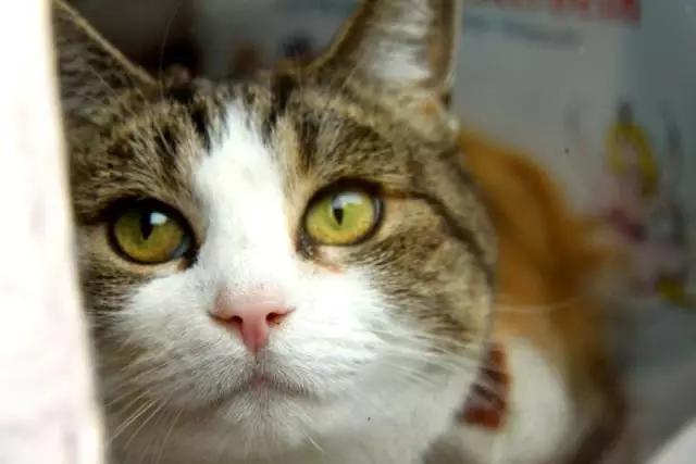 今天愚人节，很多人被这样整了