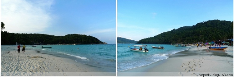 没有电没有通讯的孤独小岛生态奇好，巨大的蜥蜴自在游玩不怕人