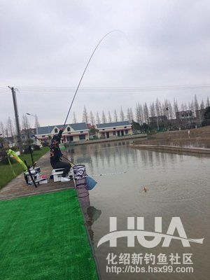 最新黑坑鱼竿测评,黑坑测试鲫鱼3.6米鱼竿推荐