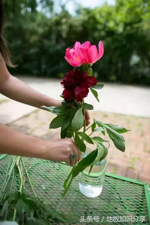 怎样插鲜花可以保鲜的时间久一点,插好的鲜花可以保持几天