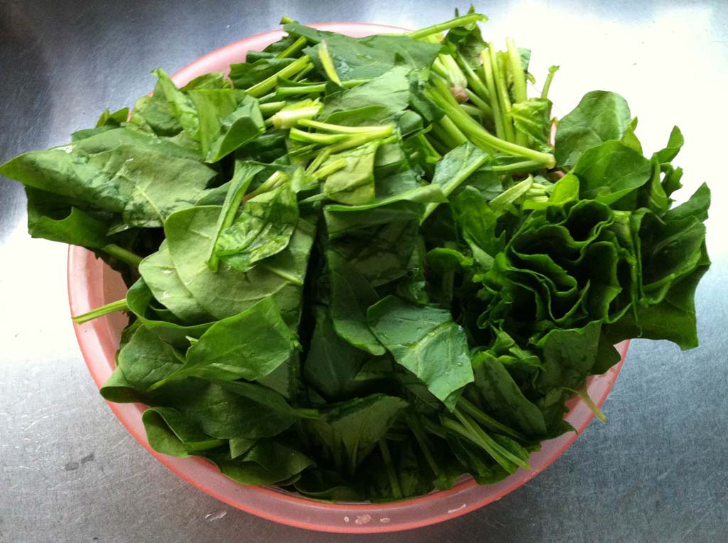 菠菜炒蛋的家常做法,番茄菠菜炒蛋