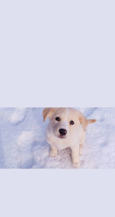 超高清无水印手机壁纸大图,4k超清壁纸1080p无水印全屏二次元