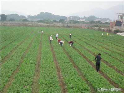 农村20个创业门路,无本创业22种方法农村