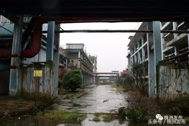 株洲市中医院现状,株洲市中医院首任院长