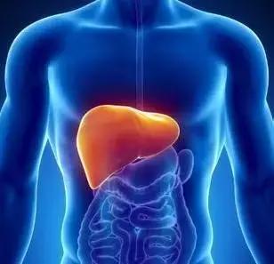 道医辟谷关注事项有哪些,中医养生知识大全辟谷方法