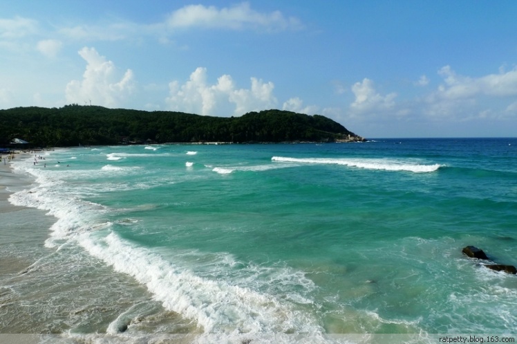 没有电没有通讯的孤独小岛生态奇好，巨大的蜥蜴自在游玩不怕人