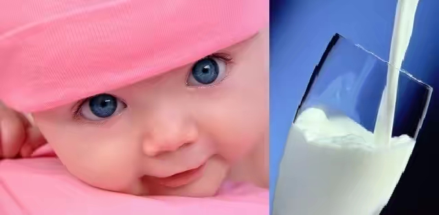 进口驼奶粉价格,进口奶粉前十名