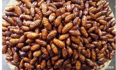 农村20个创业门路,无本创业22种方法农村