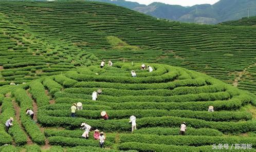 农村20个创业门路,无本创业22种方法农村