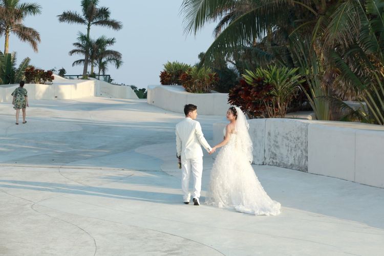 三亚凤凰岛房价,三亚凤凰岛