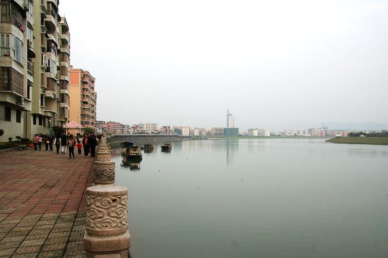 温碧霞是广东四会哪里人,温碧霞老家四会哪个镇