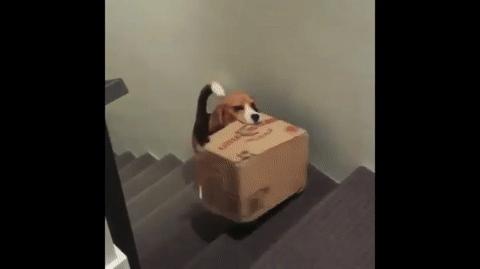 0成本丰唇大法,丰唇超简单