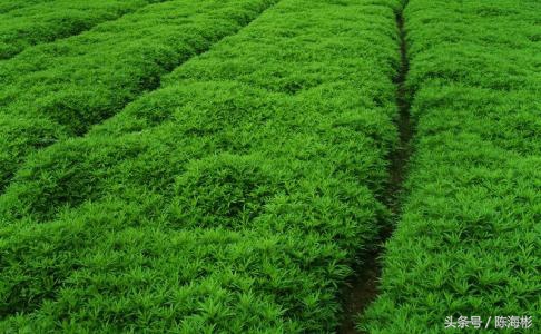 农村20个创业门路,无本创业22种方法农村