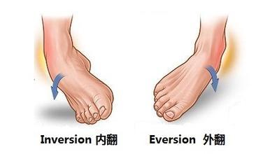 腰扭伤紧急处理方法,脚踝扭伤后经常复发怎么处理