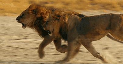 首次出国必备清单——那些传说中的必备浪费了你多少行李空间