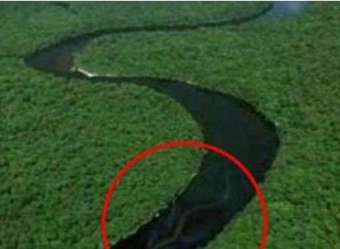 一张诡异的图片看懂就觉得恐怖,十个诡异惊悚图片