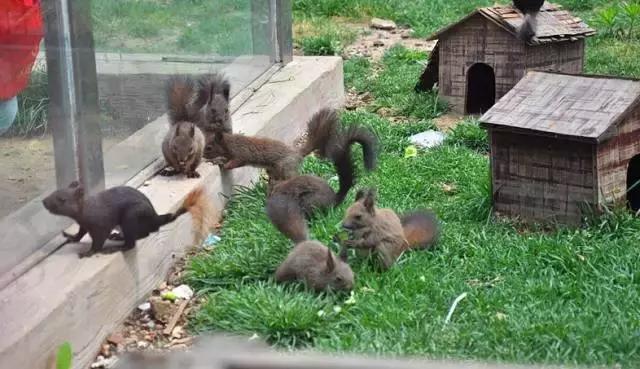 清明哪里适合踏青旅游,踏青沈北蒲河