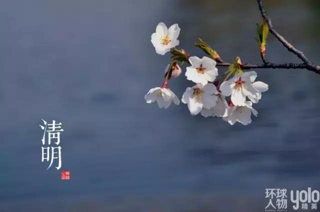 气清景明万物生长意思,清明节风和日丽万物萌生