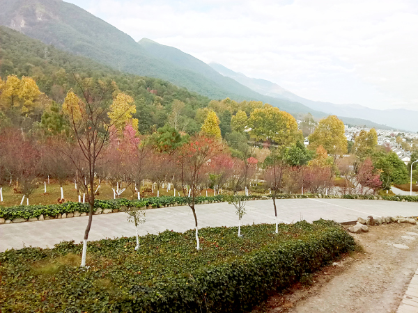 在大理读书日子,去大理读书