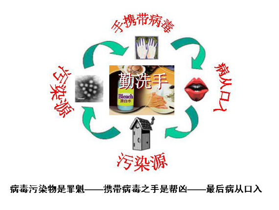 诺如病毒疫苗多少钱,诺如病毒应对措施