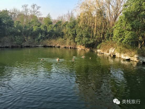 南京索菲特酒店体验,南京索菲特钟山高尔夫酒店预订