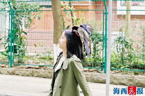 愤怒的小鸟几天会饿死,愤怒的小鸟打不死