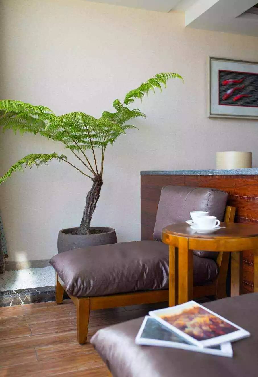 栖居观海别墅,云南大理牧云溪谷民宿