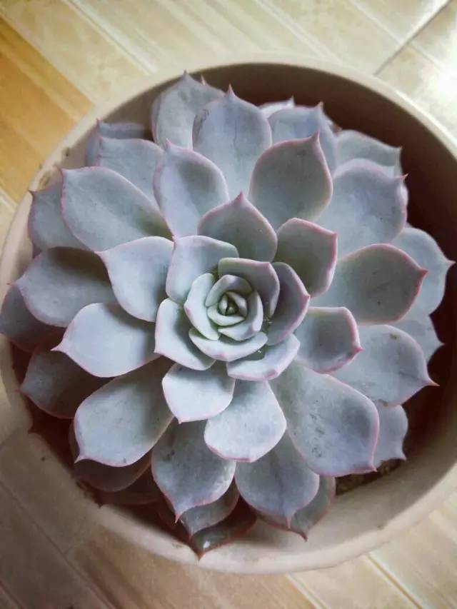 王者荣耀英雄pk古代英雄,王者荣耀英雄vs其他游戏英雄