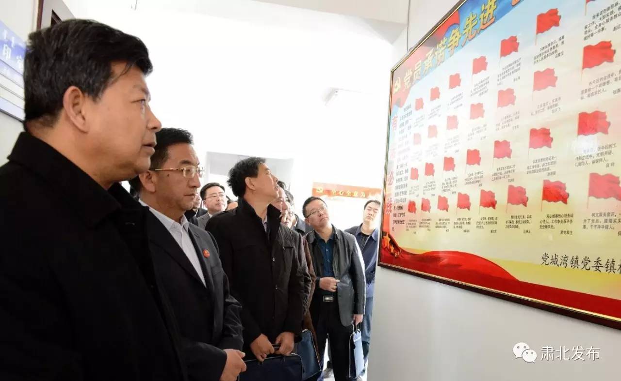 全市基层党建观摩圆满成功,基层党建观摩交流