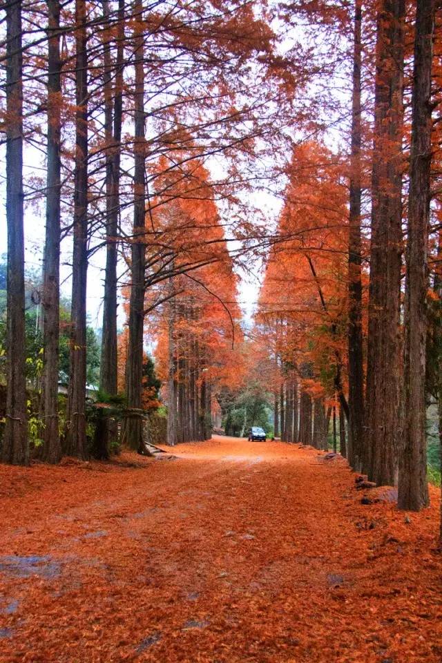 大茅山丨我们不只是红