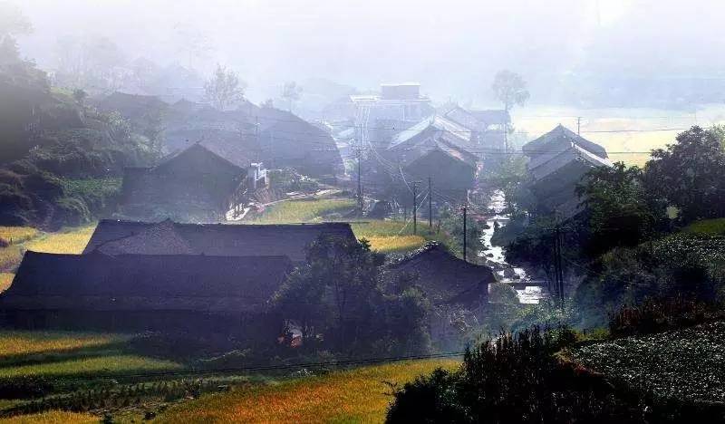 北京城的茶碗里，有1500公里外的安化黑茶