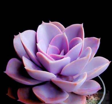 王者荣耀英雄pk古代英雄,王者荣耀英雄vs其他游戏英雄