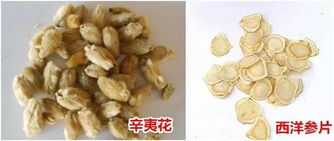 过敏性鼻炎又犯了？常喝这个很管用！