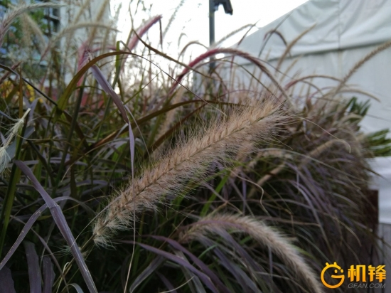 小米mixfold缺点吐槽,最大的缺点就是价格太低