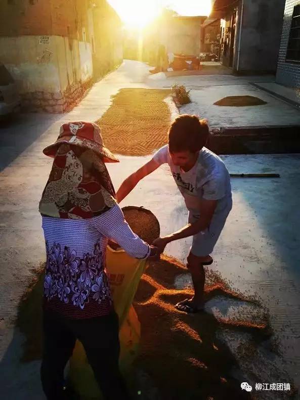 柳州柳江最美的风景区,柳州市柳江区旅游景点排名