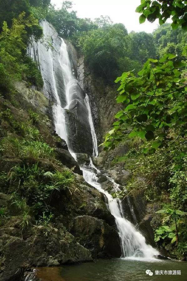 广东盘龙峡熏衣草花海,盘龙峡熏衣草园
