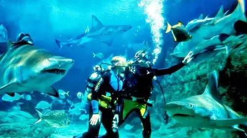 上海奉贤一日游最佳景点一览表,上海宝山区最值得去的五个景点