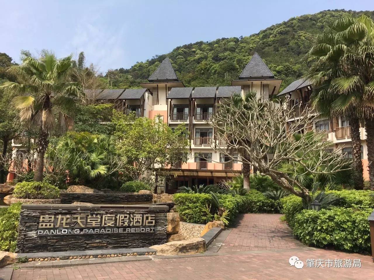 广东盘龙峡熏衣草花海,盘龙峡熏衣草园