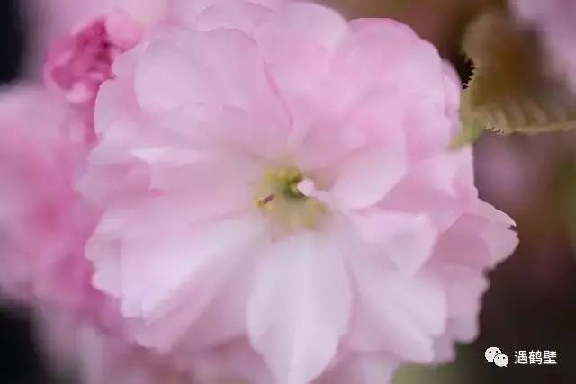 寻找紧急扩散人员名单,紧急寻找紧急扩散