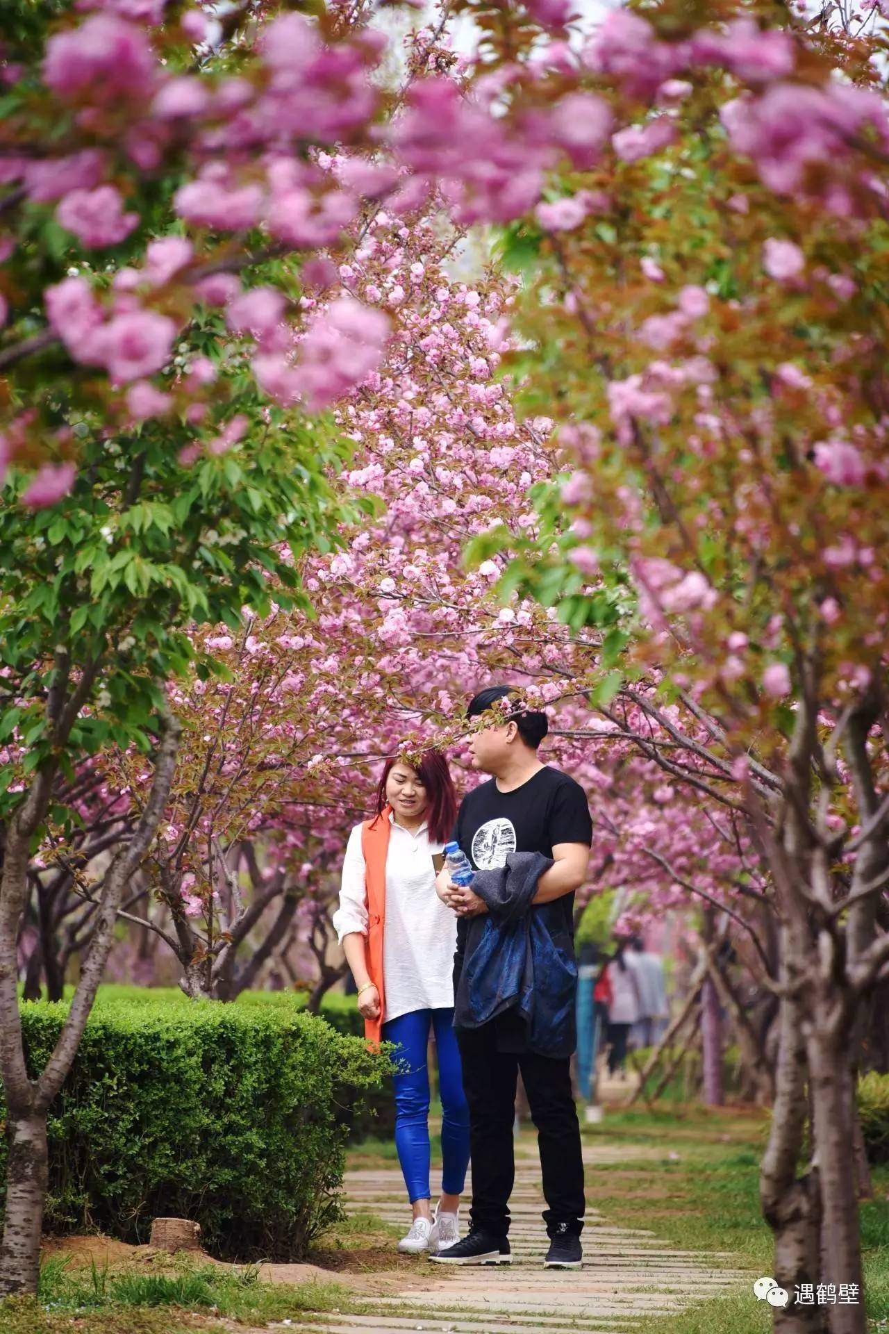 寻找紧急扩散人员名单,紧急寻找紧急扩散