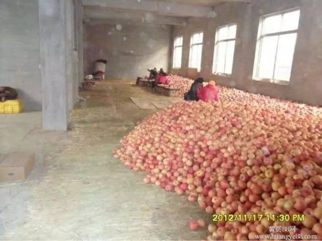 冷库杀菌的正确方法,冷库保鲜最新技术